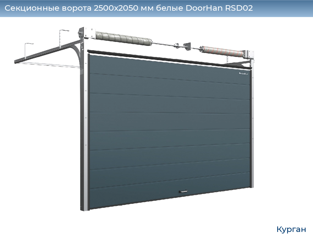 Cекционные ворота 2500х2050 мм белые DoorHan RSD02, kurgan.doorhan.ru